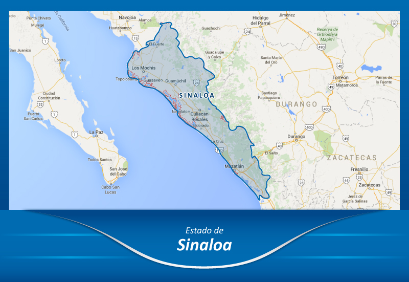 Camiones de la Ciudad de México a Sinaloa